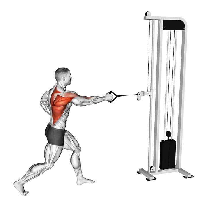 Cable Split Stance Single Arm Row exercise animation (Male)