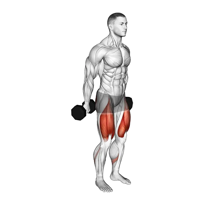 Dumbbell Hack Squat exercise animation (Male)