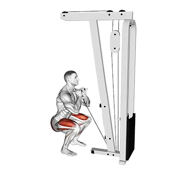Cable Front Squat with V bar