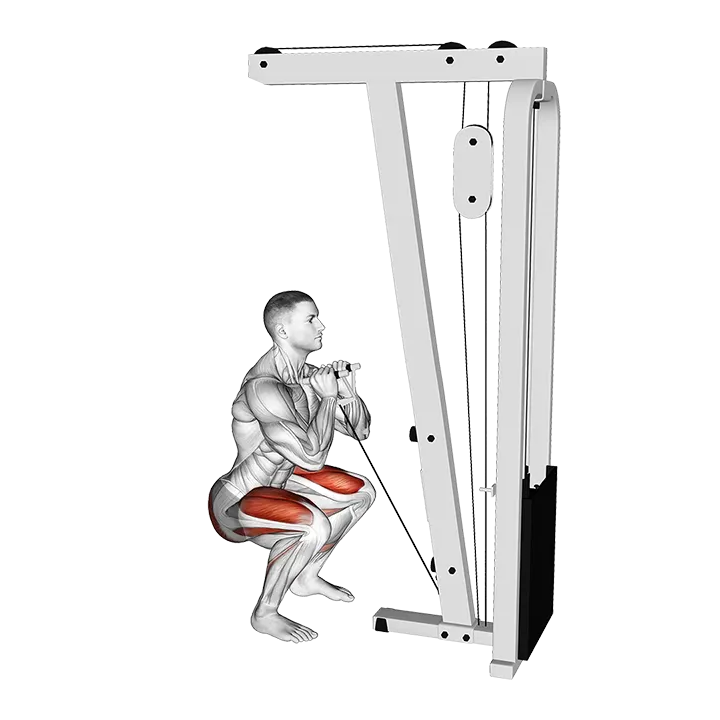 Cable Front Squat with V bar exercise animation (Male)