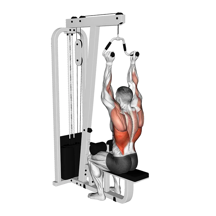 Cable Neutral Grip Lat Pulldown exercise animation (Male)