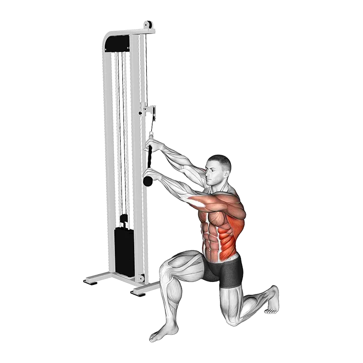 Cable Kneeling High Low Anti Rotation Chop exercise animation (Male)