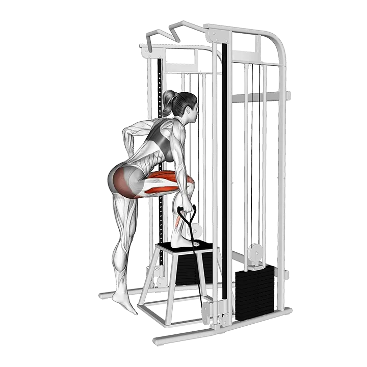 Cable Ipsilateral Glute Dominant Step-up exercise animation (Female)