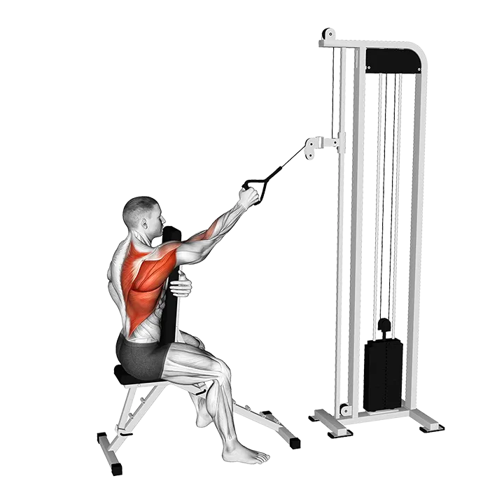 Cable Single Arm High Row with Chest Support exercise animation (Male)