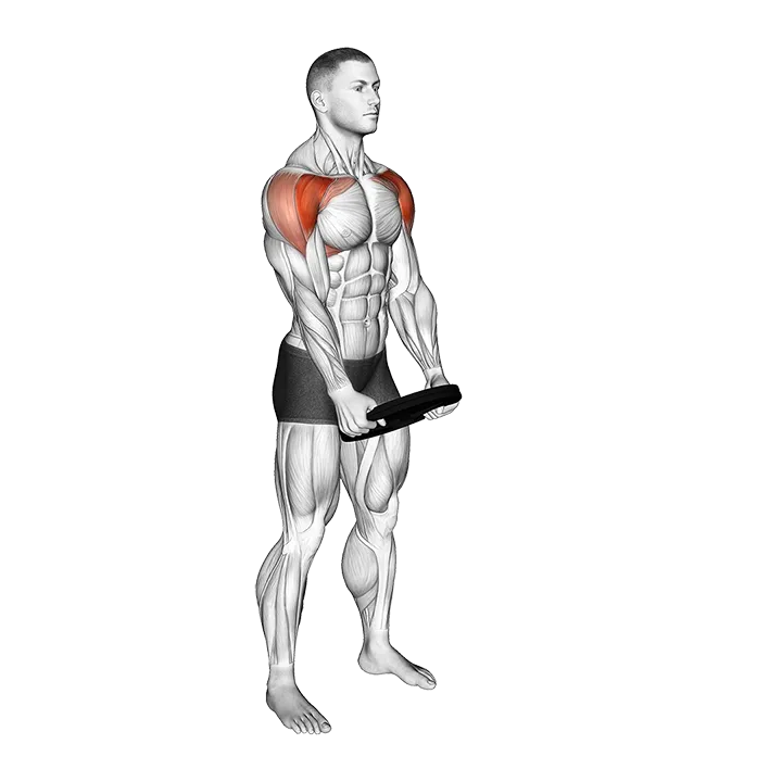 Weighted Front Raise Hold exercise animation (Male)