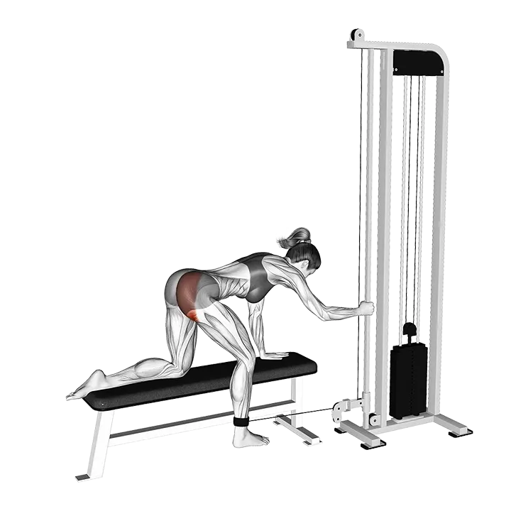 Cable Kneeling Glute Kickback exercise animation (Female)