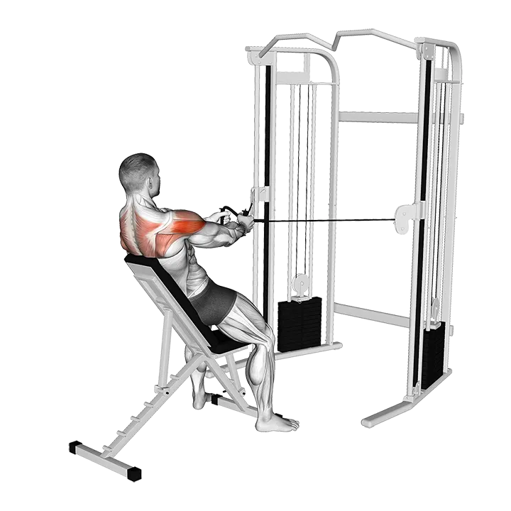 Cable Incline Rear Delt Fly with Back Support exercise animation (Male)