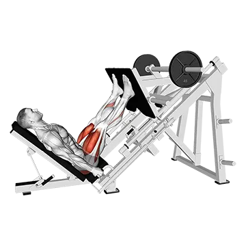 Sled Glute Dominant Leg Press
