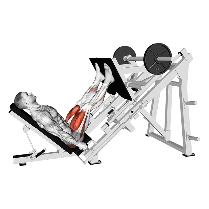Sled Glute Dominant Leg Press exercise animation (Male)
