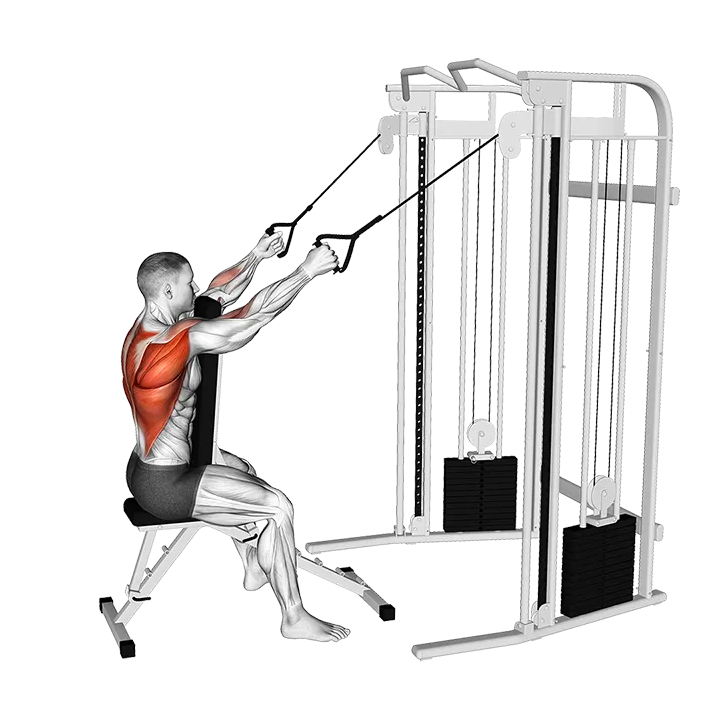 Cable High Row with Chest Support exercise animation (Male)