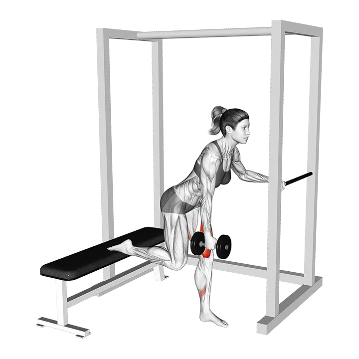 Dumbell Contralateral Glute Dominant Bulgarian Split Squat exercise animation (Female)