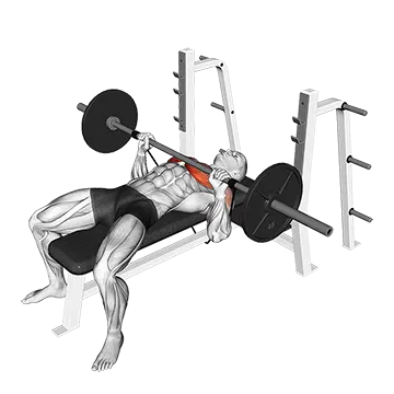 Barbell Banded Bench Press