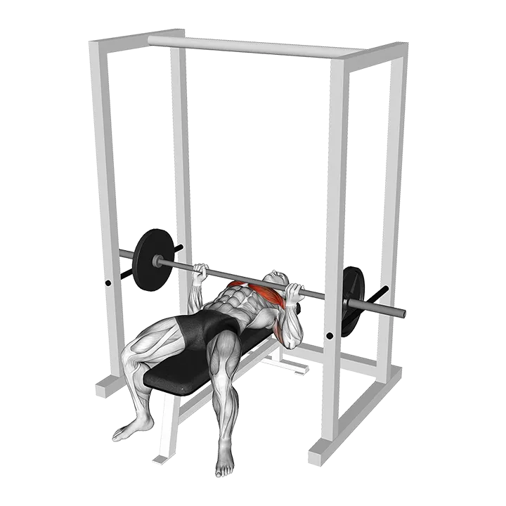 Barbell Pin Bench Press Conventional grip exercise animation (Male)