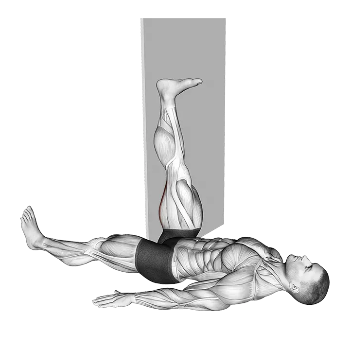 Lying Single Leg Hamstring Stretch against Wall exercise animation (Male)