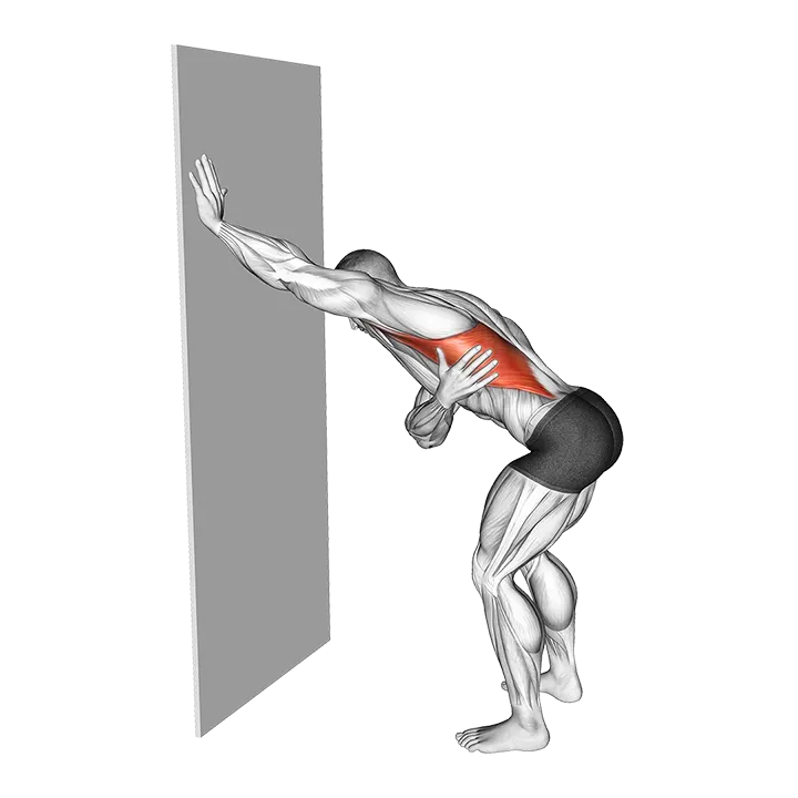 Single Arm Lat Stretch against Wall exercise animation (Male)