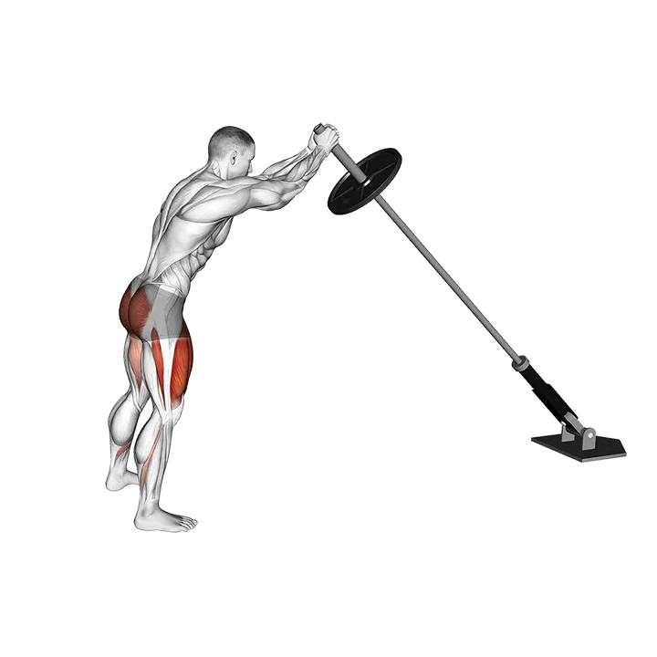 Landmine Squat exercise animation (Male)