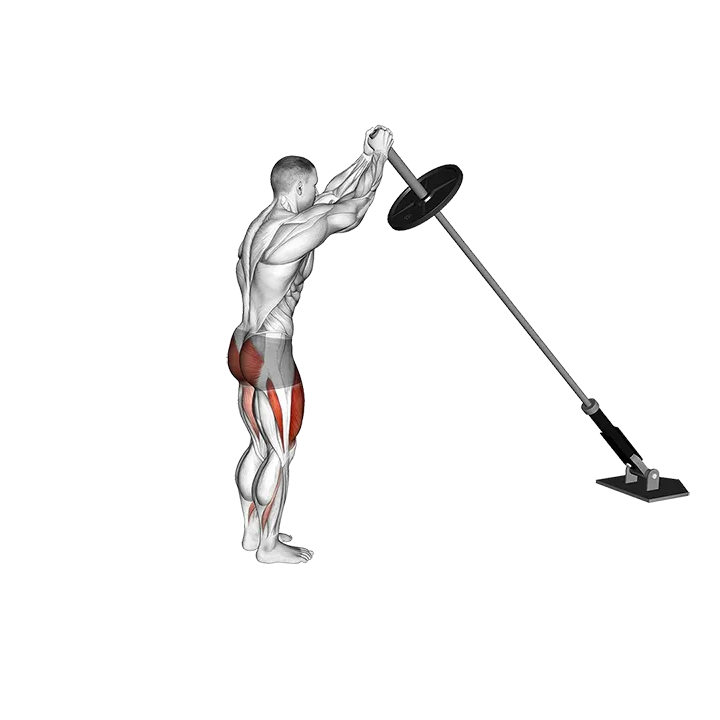 Landmine Overhead Rear Lunge exercise animation (Male)