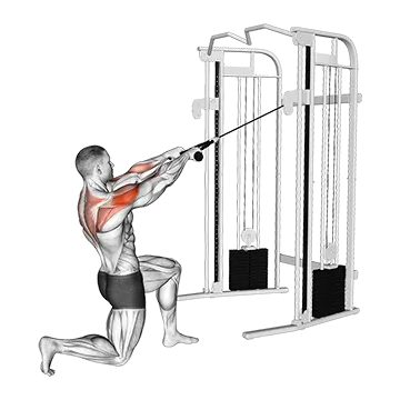 Cable Half Kneeling Face Pull