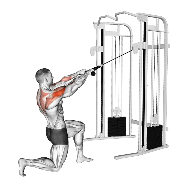 Cable Half Kneeling Face Pull exercise animation (Male)
