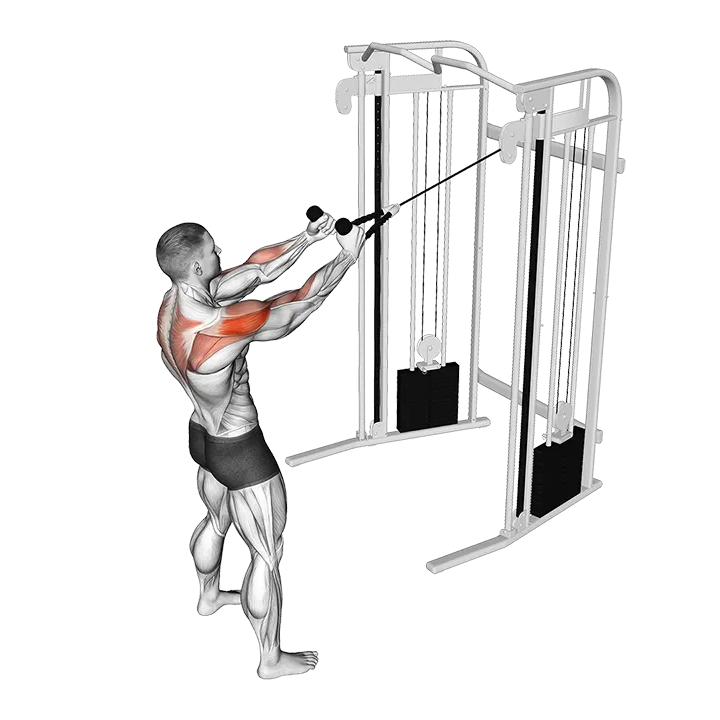 Cable Standing Supinated Face Pull (with rope) exercise animation (Male)