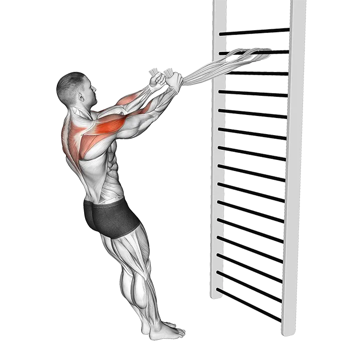 Standing Supinated Face Pull (with towels) exercise animation (Male)