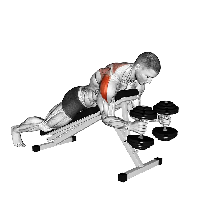 Dumbbell Prone W Raise exercise animation (Male)