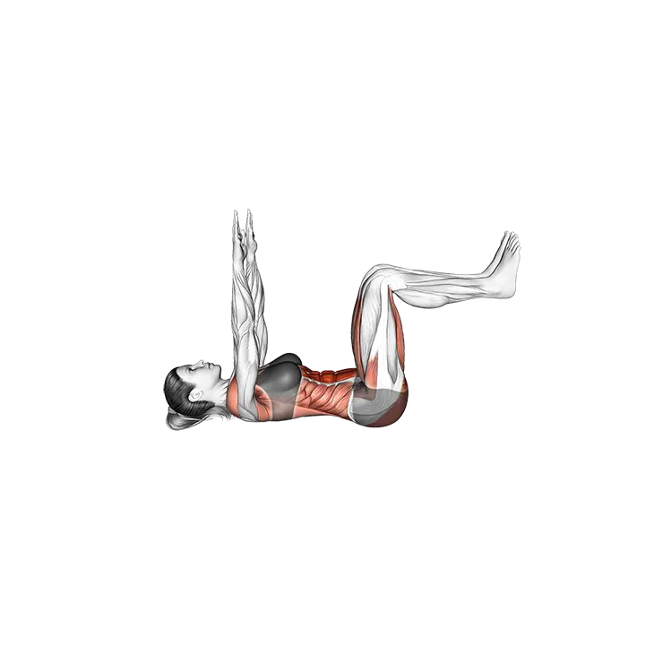 Dead Bug (VERSION 3) exercise animation (Female)