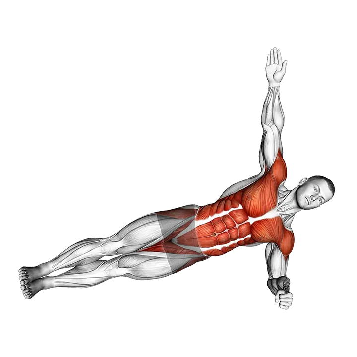 Side Plank Twist Arm Delt Raise exercise animation (Male)