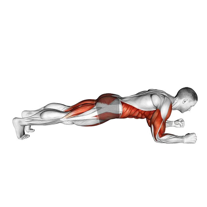 Explosive Dynamic Plank exercise animation (Male)