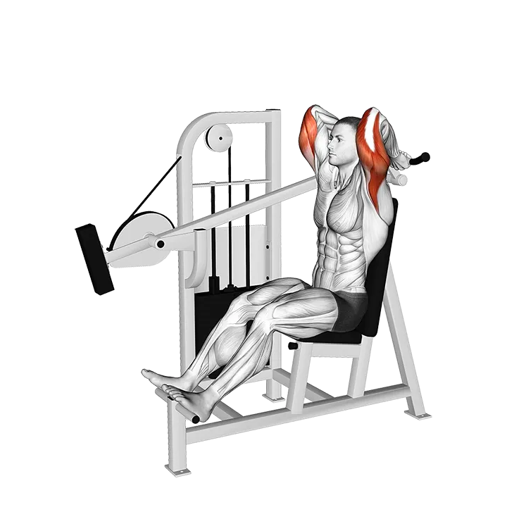 Lever Overhead Triceps Extension exercise animation (Male)