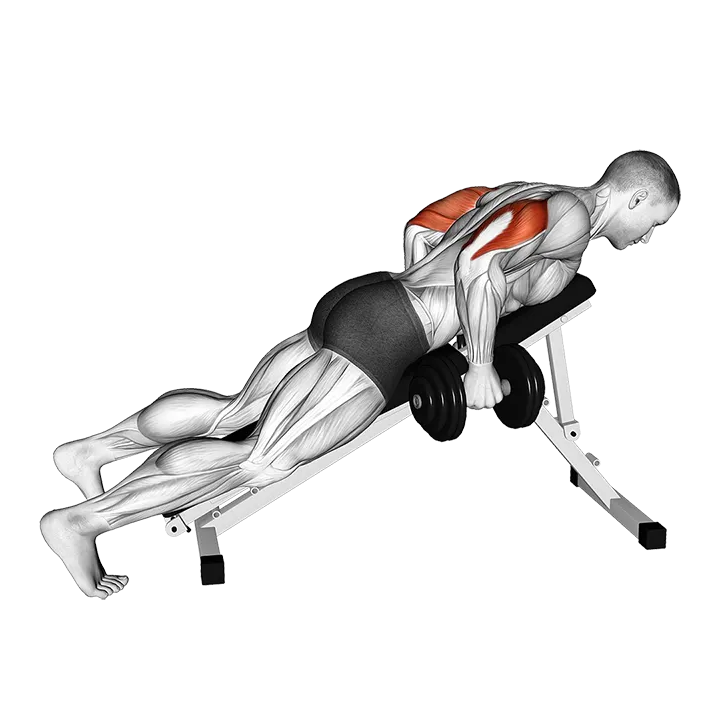 Dumbbell Incline Triceps Kickback exercise animation (Male)