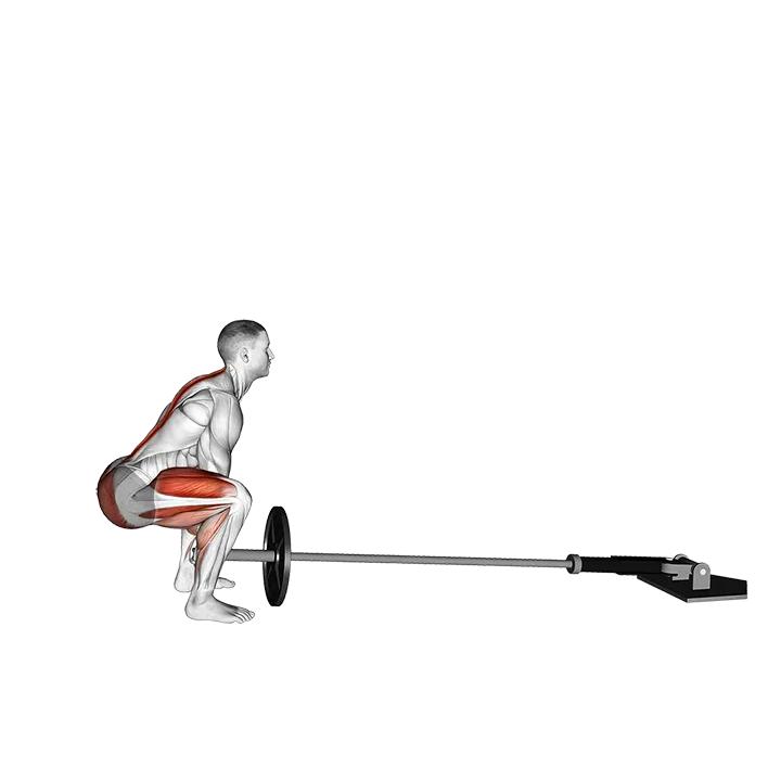 Landmine Deadlift exercise animation (Male)