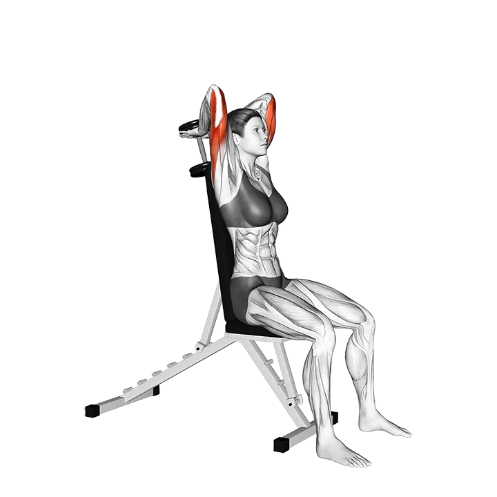 Dumbbell Seated Triceps Extension (VERSION 2) exercise animation (Male)