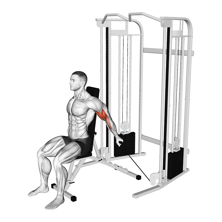 Cable Seated Unilateral Bicep Curl exercise animation (Male)