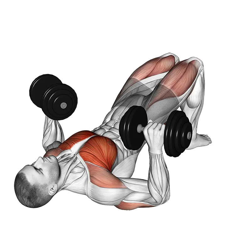 Dumbbell Glute Bridge Chest Press exercise animation (Male)