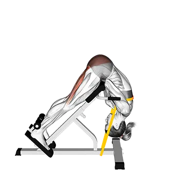 Resistance Band 45 Degree Hip Extension Glute Focused