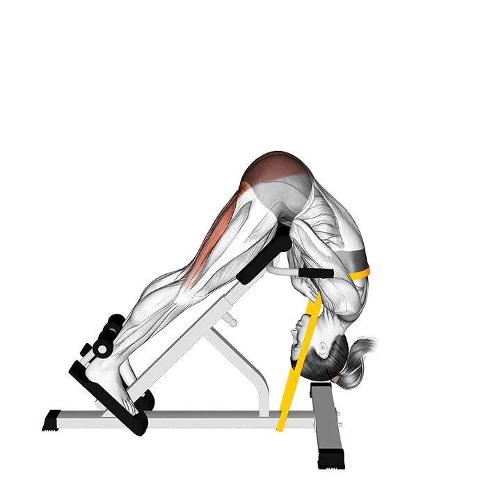 Resistance Band 45 Degree Hip Extension Glute Focused exercise animation (Weiblich)