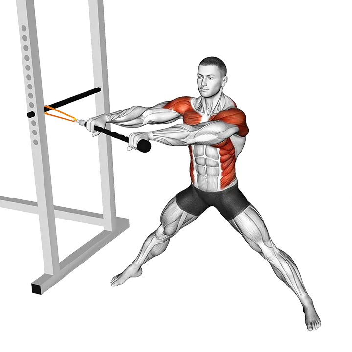 Resistance Band Wide Stance Anti Rotation Chop exercise animation (Male)