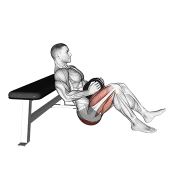 Dumbbell Single Leg Hip Thrust