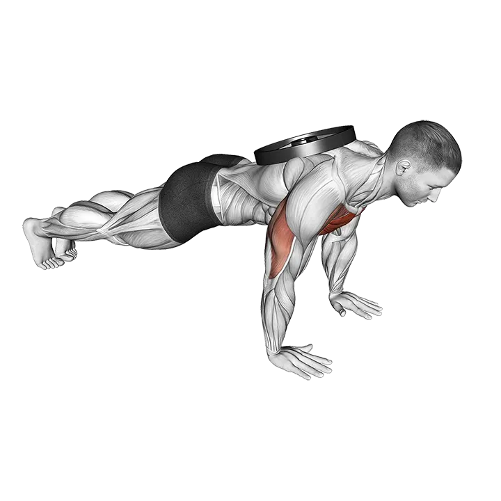 Weighted Plate Push-up exercise animation (Male)