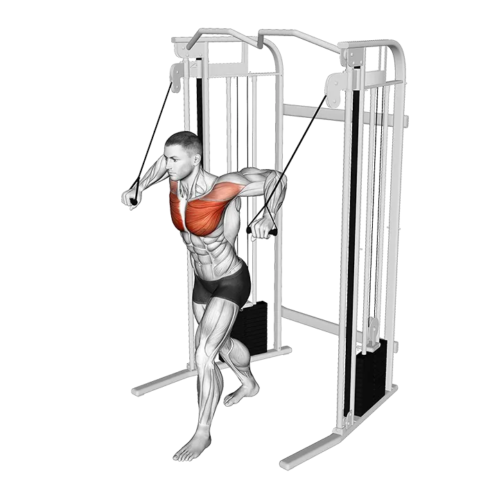 Cable Standing Crossover exercise animation (Male)