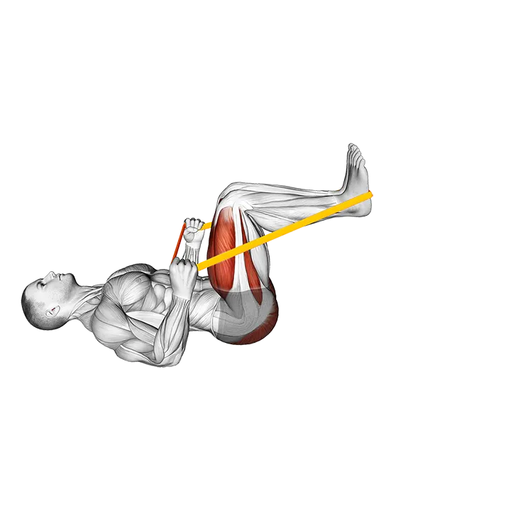 Resistance Band Lying Leg Press exercise animation (Male)