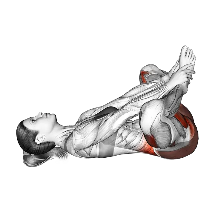 Lying Pelvic Floor Relaxation and Deep Breathing exercise animation (Female)
