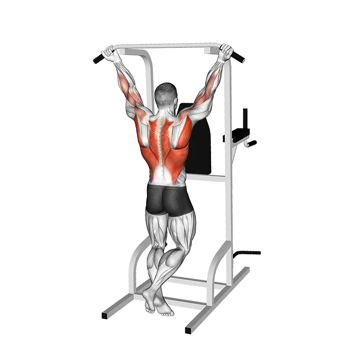 Wide Chin-up exercise animation (Male)