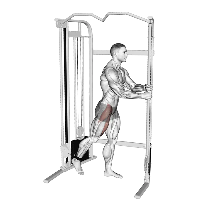 Cable Standing Hip Flexion exercise animation (Male)