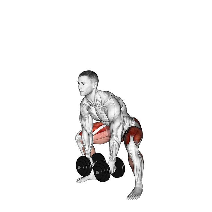 Dumbbell Sumo Deadlift exercise animation (Male)