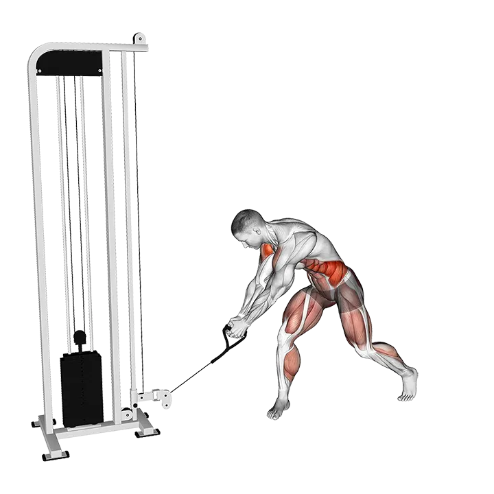 Cable Reverse Woodchop exercise animation (Male)