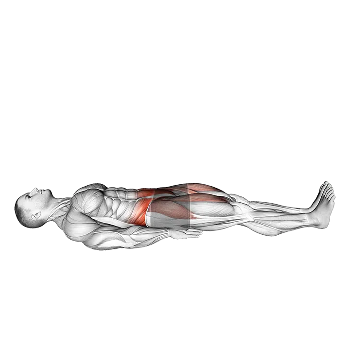 Lying Knee Raise exercise animation (Male)