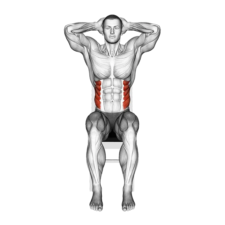 Sitting Side Bend on a chair exercise animation (Male)