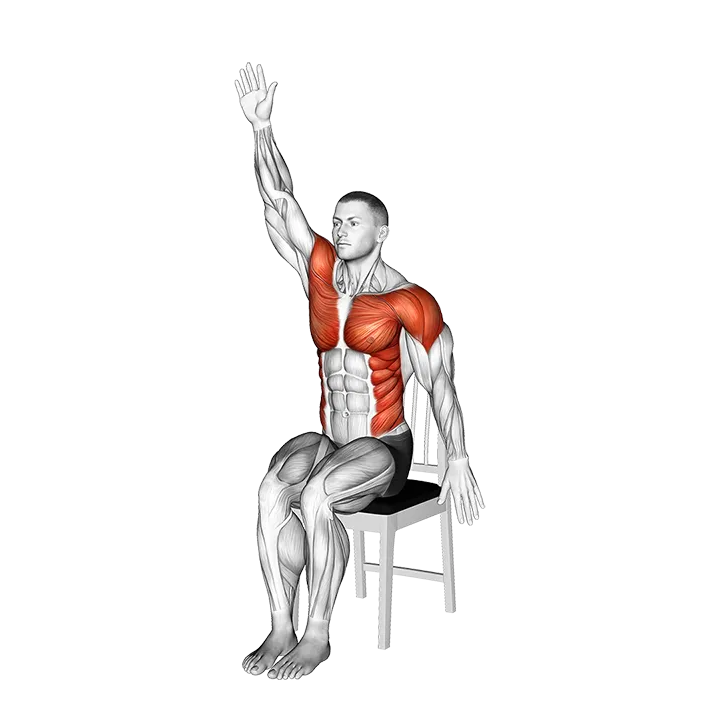 Sitting Swimmer on a Chair exercise animation (Male)